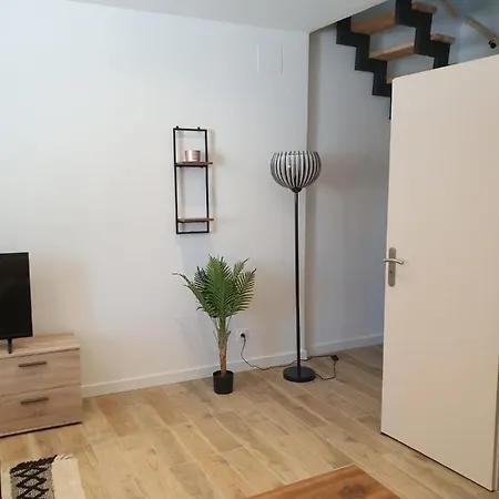 Superbe T2 Duplex Ellena Апартаменты Toulouges